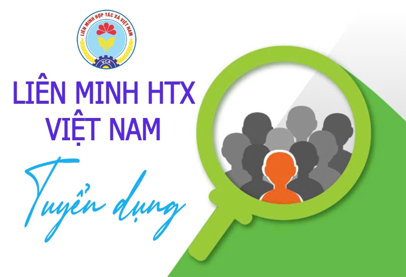 Kế hoạch Tuyển dụng bằng hình thức tiếp nhận người làm việc vào biên chế Cơ quan Liên minh Hợp tác xã Việt Nam đợt 1 năm 2026