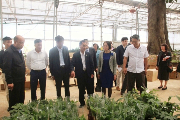 Hợp tác xã chuẩn hóa quản trị để hút vốn đầu tư