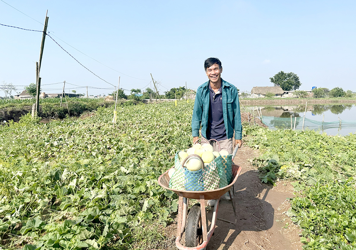 Điểm tựa làm giàu bền vững trên những vựa thủy sản, khu vườn bạc tỷ ở vùng đất trứ danh tỉnh Ninh Bình