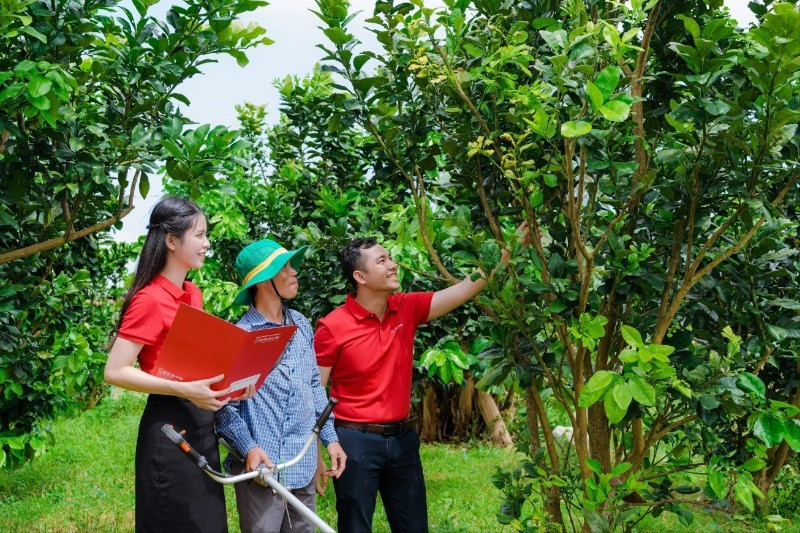 "Tiếp sức" cho kinh tế tư nhân phát triển