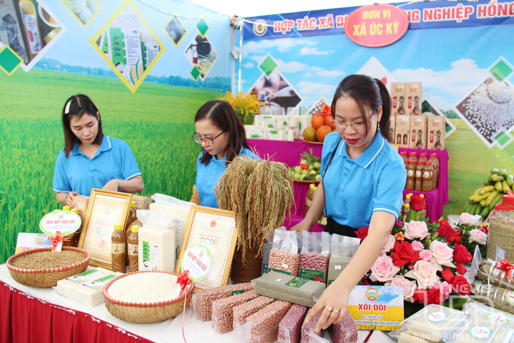 Thái Nguyên: Phát huy hiệu quả mô hình hợp tác xã tại Phú Bình
