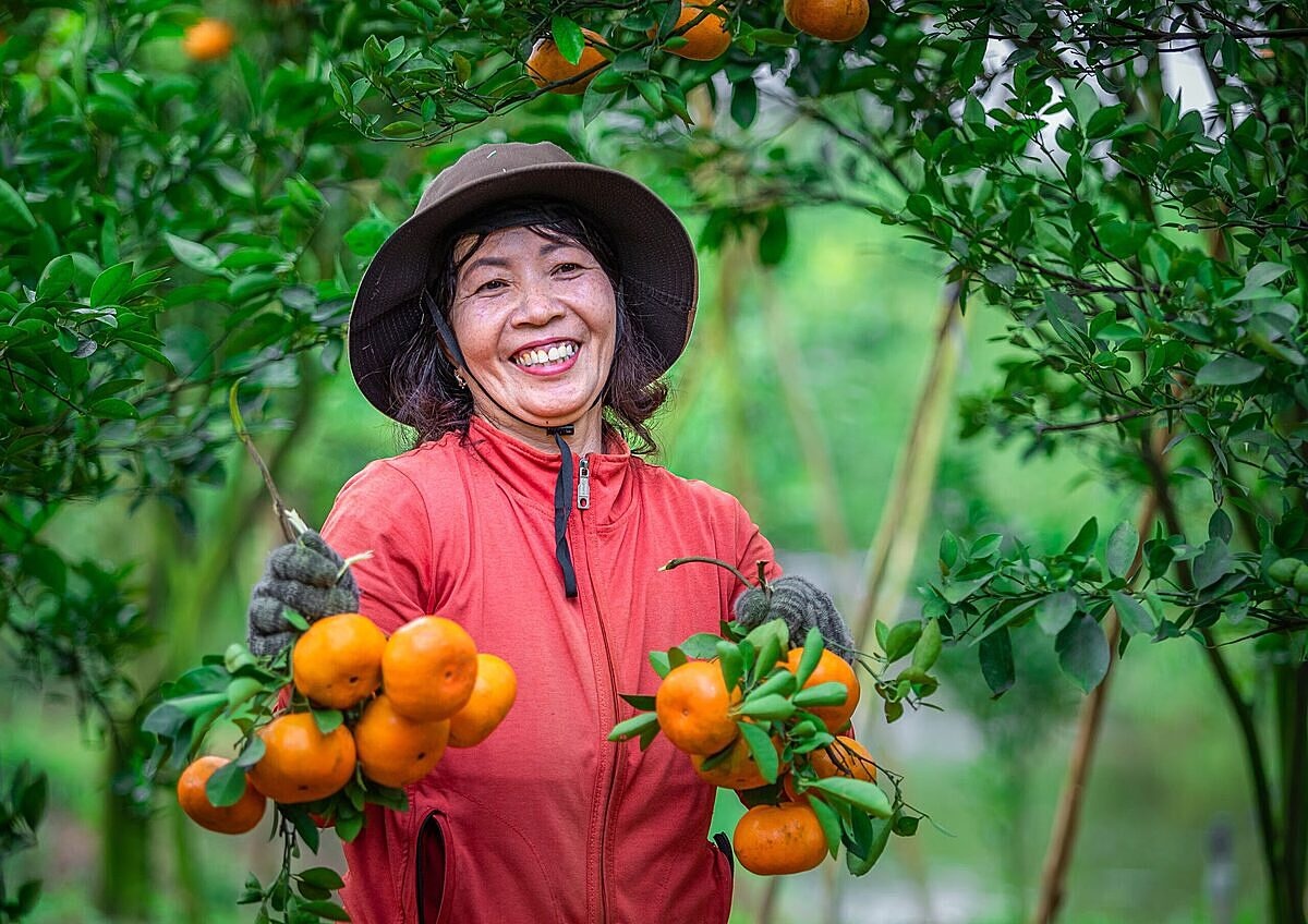 Sáp nhập đơn vị hành chính: Cơ hội để HTX sản xuất OCOP nâng tầm thương hiệu