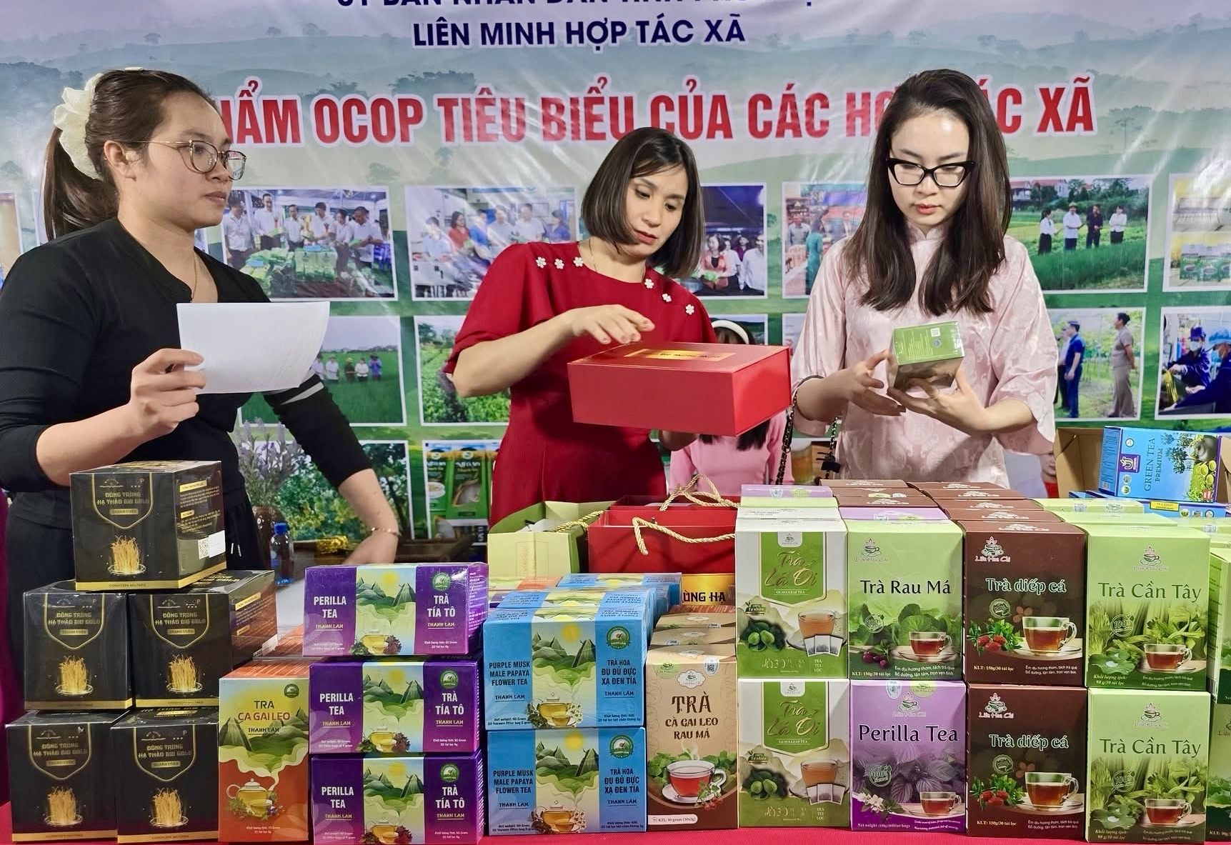 Phú Thọ: Hỗ trợ Hợp tác xã xúc tiến tiêu thụ sản phẩm