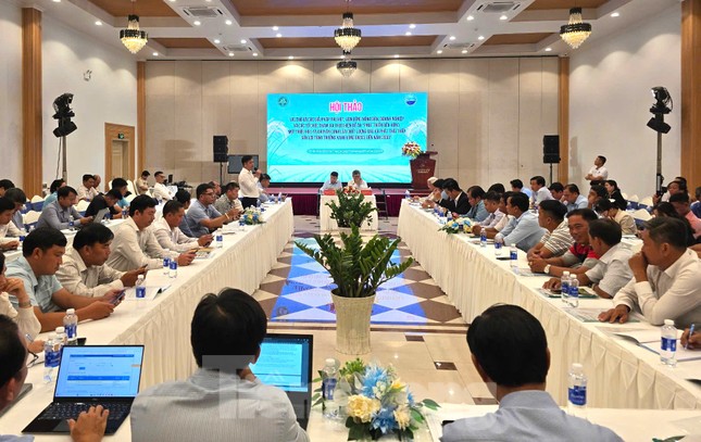 'Liên kết ở ĐBSCL kiểu tôi đặt cọc, tới vụ tôi lấy lúa, thế thôi'
