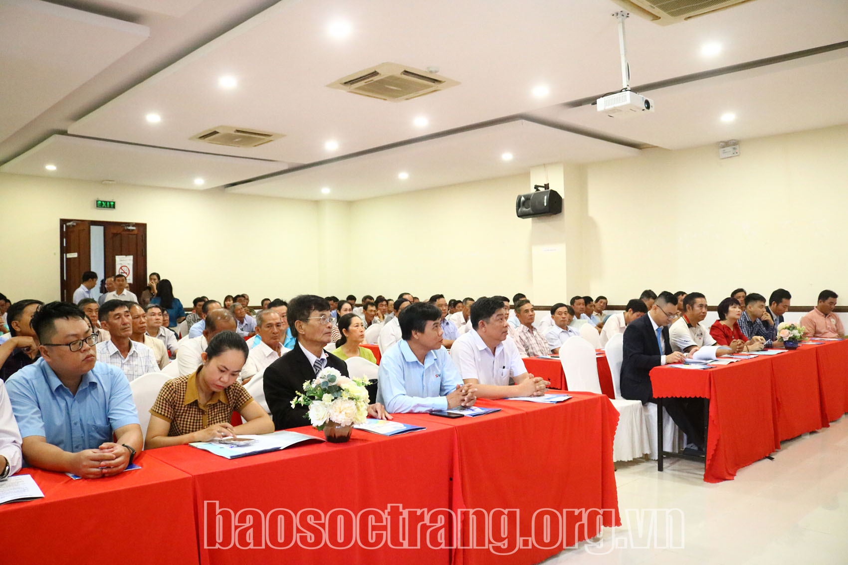 Sóc Trăng: Nâng cao năng lực ứng dụng trí tuệ nhân tạo, thương mại điện tử và hỗ trợ xuất khẩu cho hợp tác xã