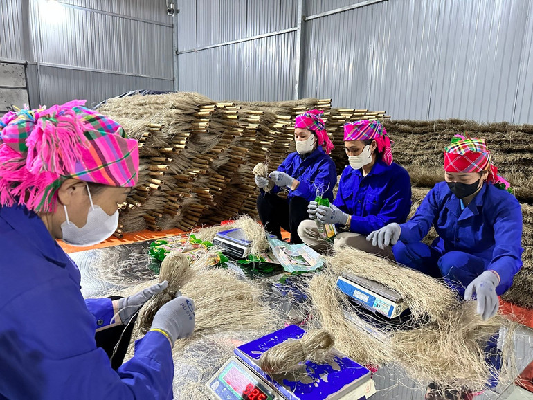 Bắc Kạn: Mở rộng 