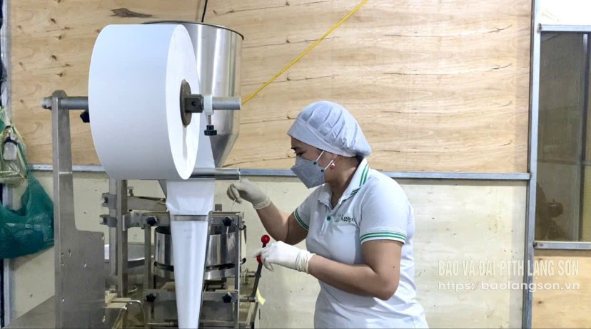 Lạng Sơn: “Hợp vốn, hợp sức” theo Bác dạy
