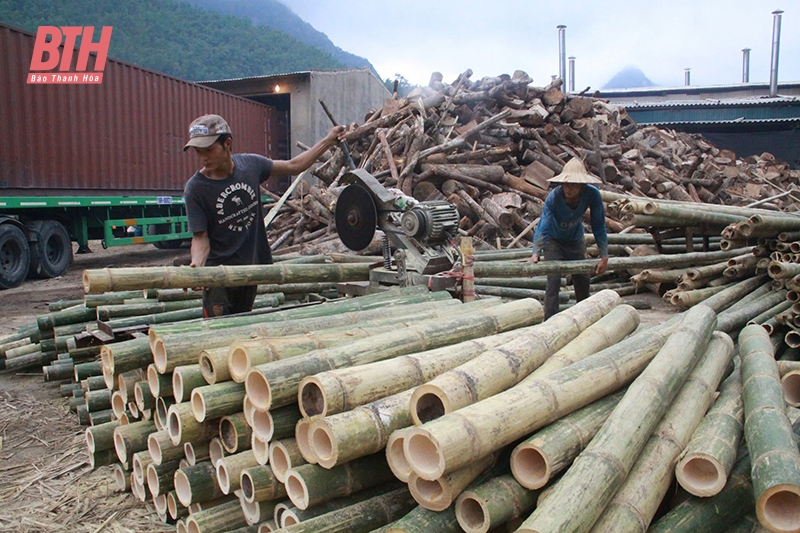 Thanh Hóa: Nhân rộng mô hình HTX hoạt động hiệu quả trên địa bàn huyện Quan Hóa