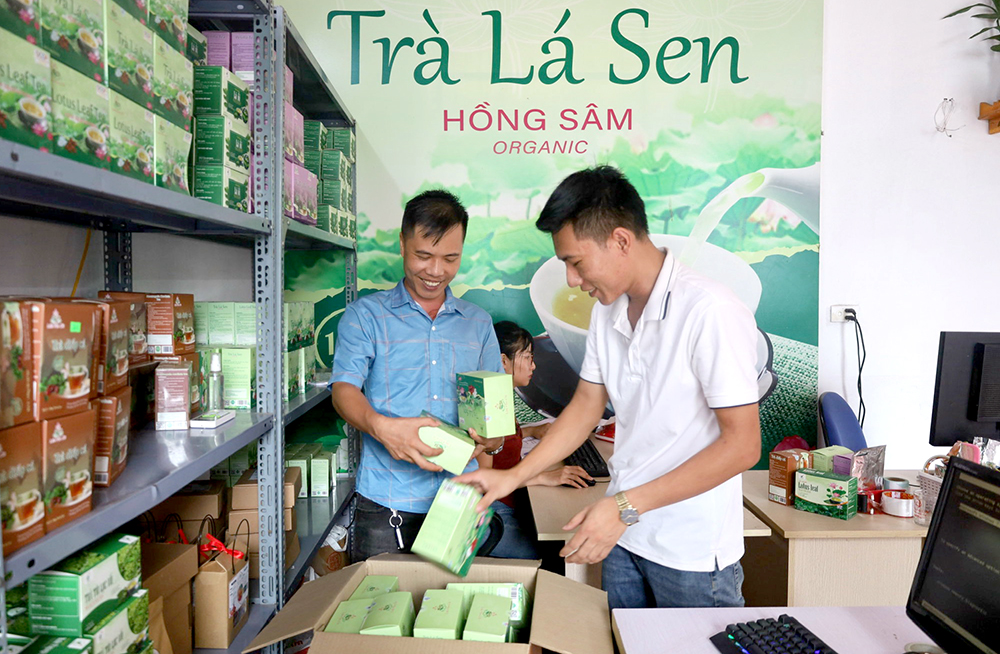 Phú Thọ; Nâng cao hiệu quả hoạt động của HTX thương mại, dịch vụ