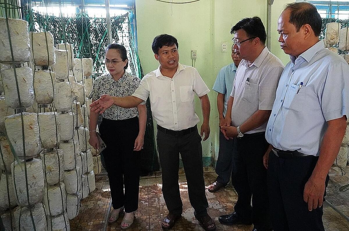 HTX kiểu mới trở thành hạt nhân giảm nghèo bền vững ở Quảng Ngãi
