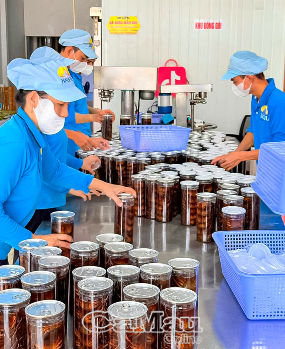 Cà Mau: Ðể hợp tác xã trụ vững trong tình hình mới