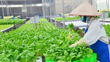 Kết quả khảo sát đánh giá mức độ hài lòng của hợp tác xã đối với chính quyền địa phương thực hiện năm 2024