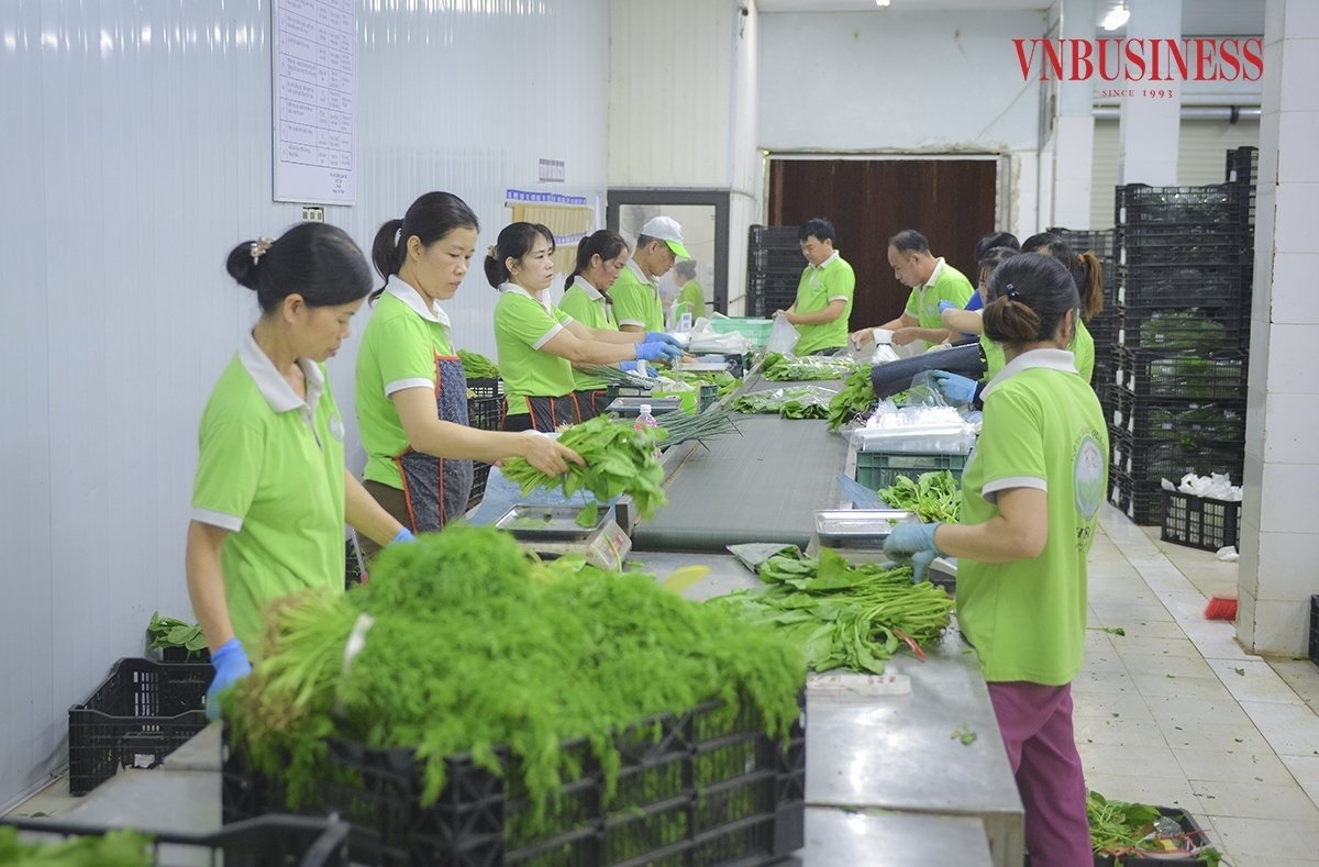 HTX số hóa nông nghiệp, nâng tầm giá trị nông sản Thủ đô