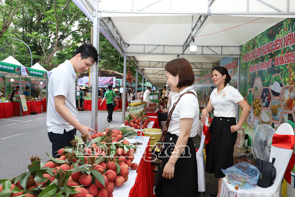 Gần 20 nghìn lượt khách tham quan, mua sắm tại Phiên chợ vải Hưng Yên năm 2025