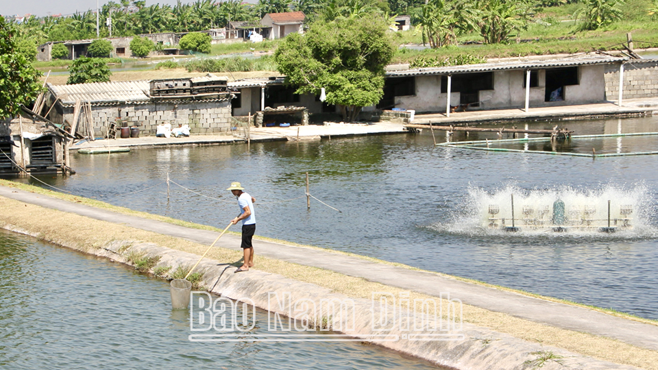 Nam Định: Hiệu quả từ phát huy sức dân trong xây dựng nông thôn mới