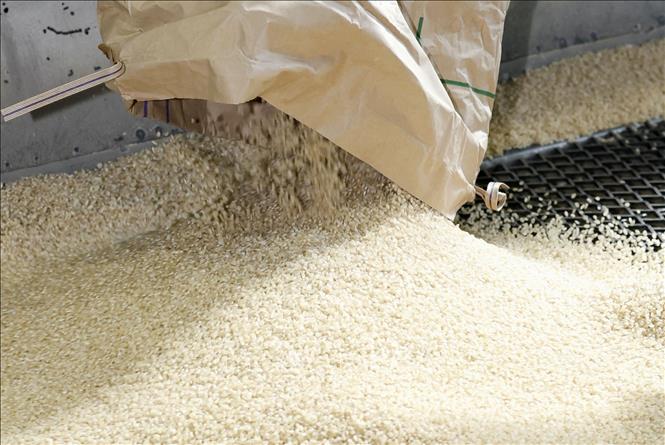 Người tiêu dùng Nhật Bản dần chuyển sang dùng gạo nhập khẩu