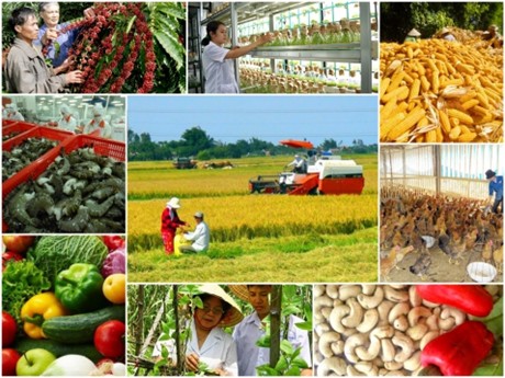 Tuyên truyền hiệu quả – Kết nối thị trường bền vững cho các HTX