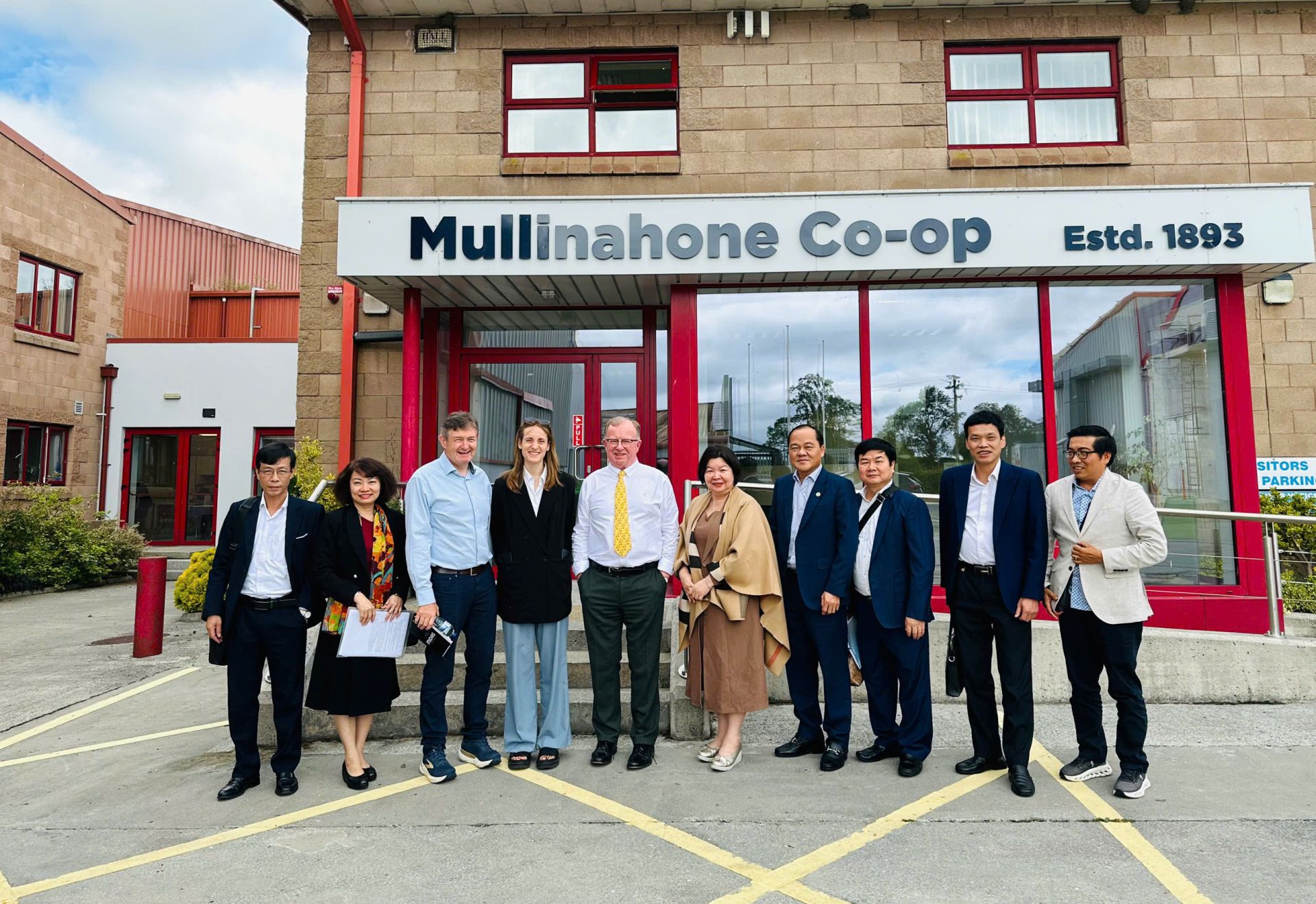 Từ phô mai đến sàn đấu giá gia súc, bài học từ hợp tác xã Ireland