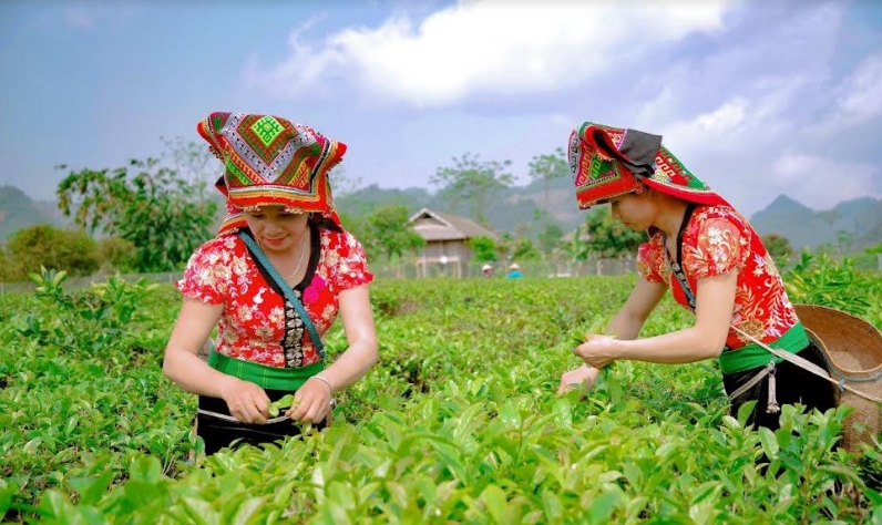 Hợp tác xã kiến tạo, xây dựng tương lai tốt đẹp hơn cho tất cả mọi người