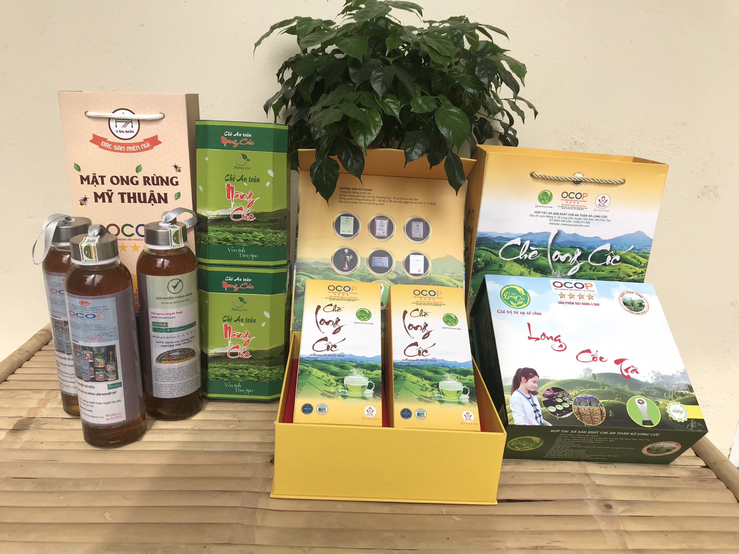 Đẩy mạnh phát triển sản phẩm OCOP