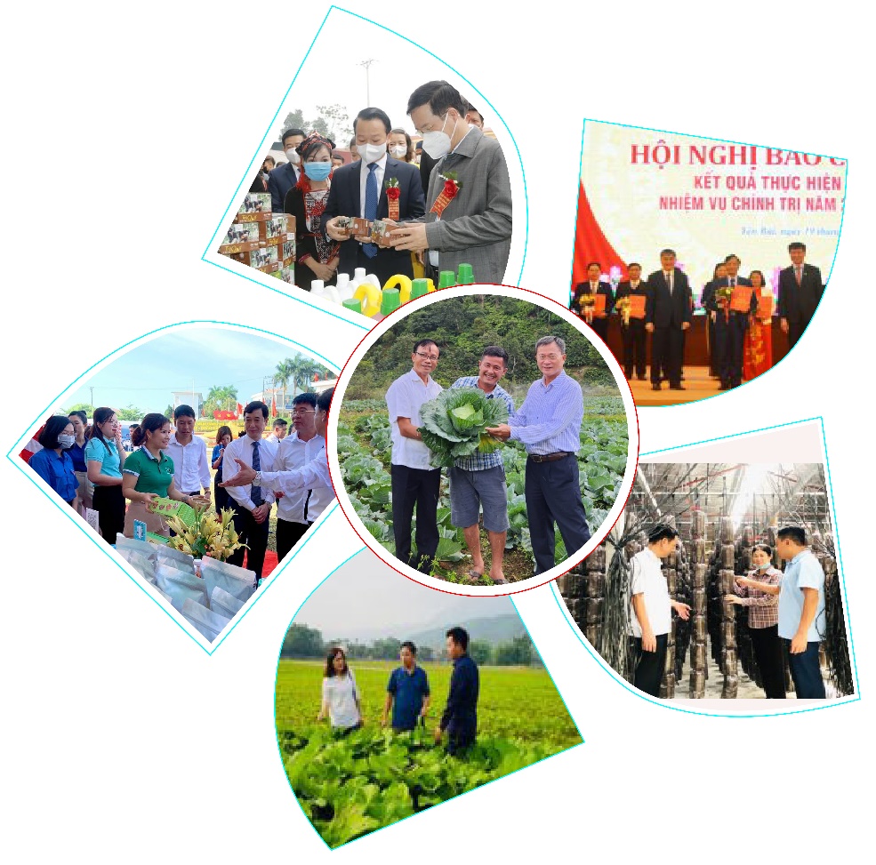 Yên Bái: Thắp sáng lời Bác dạy trong khu vực kinh tế tập thể
