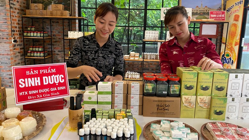 Ninh Bình nỗ lực phát triển kinh tế tập thể, hợp tác xã