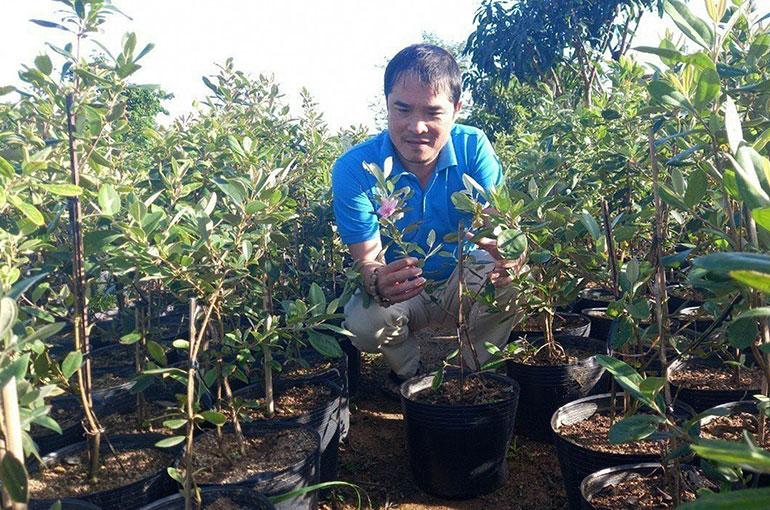 Phát huy ưu thế cộng đồng của mô hình hợp tác xã