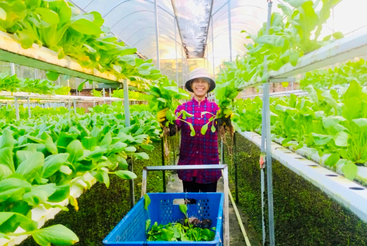 Tiếp tục phát triển và nâng cao hiệu quả kinh tế tập thể