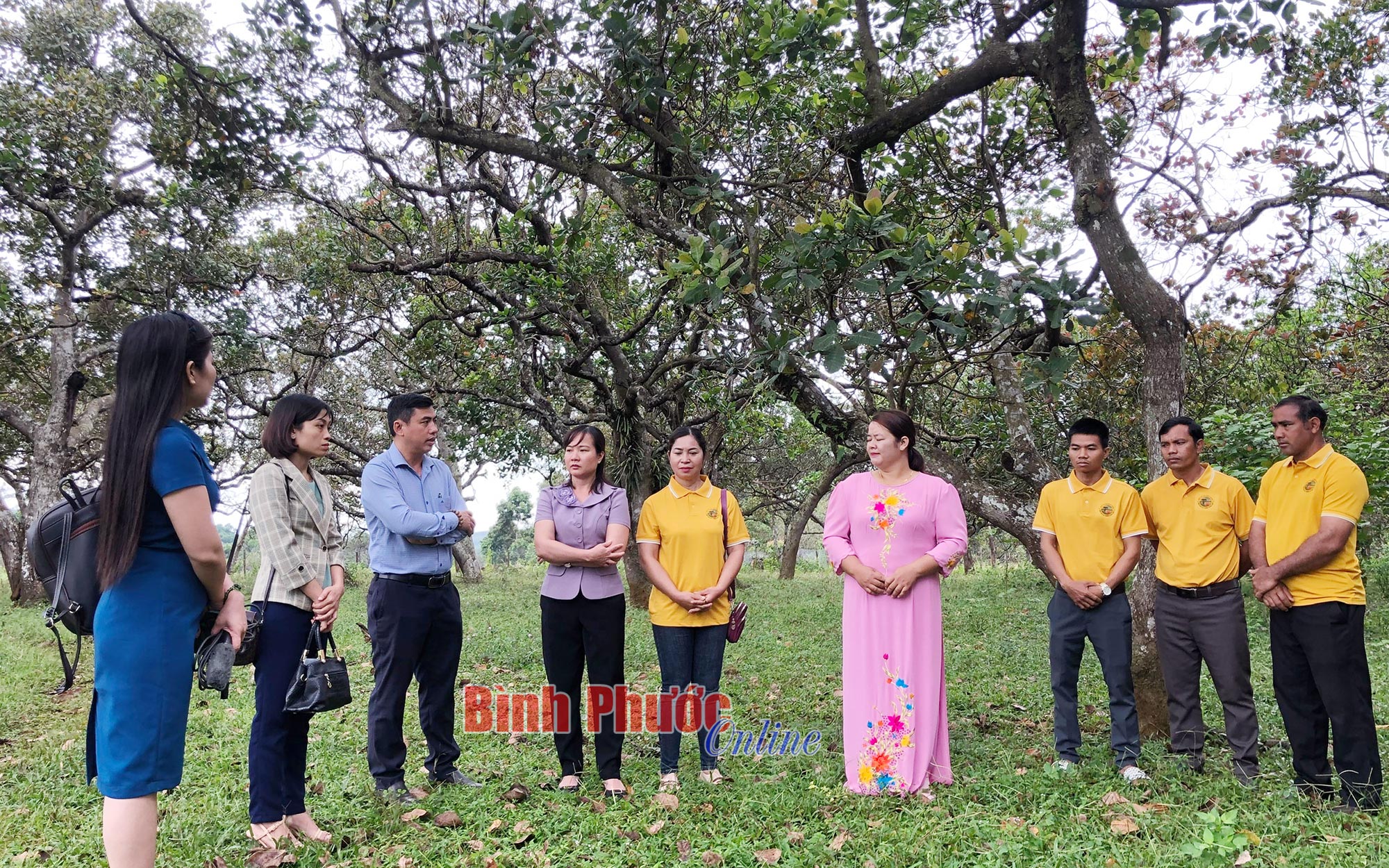 Sản xuất nông nghiệp hữu cơ - hướng đi bền vững
