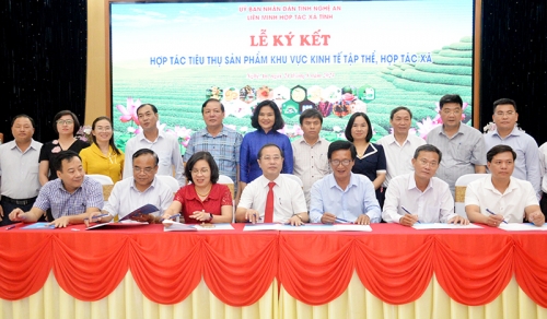 Hội nghị xúc tiến thương mại, kết nối cung - cầu tiêu thụ sản phẩm khu vực kinh tế tập thể