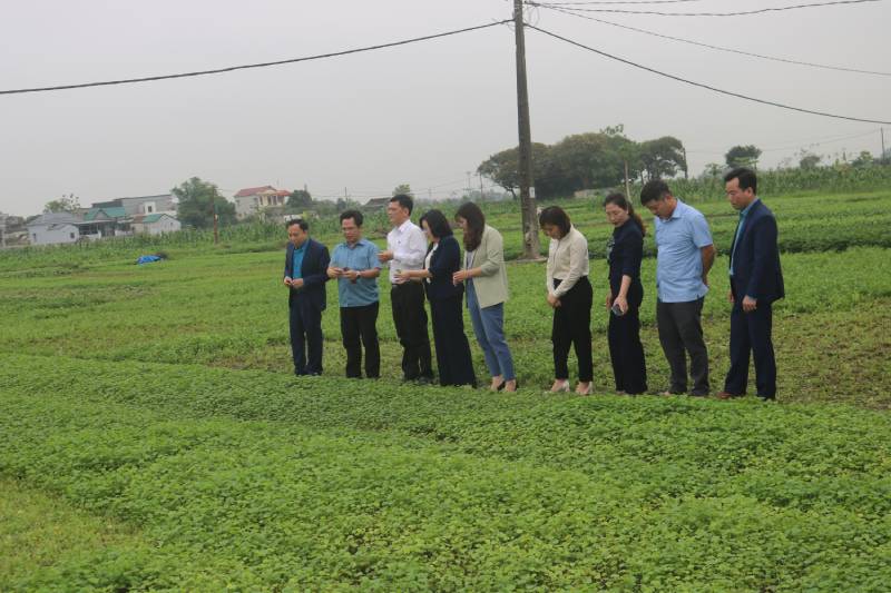 Một số giải pháp để nâng cao hiệu quả công tác quản lý nhà nước đối với kinh tế tập thể, hợp tác xã