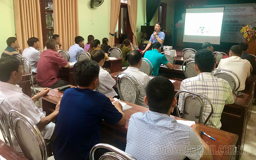 Nâng cao kỹ năng ứng dụng thương mại điện tử cho hợp tác xã
