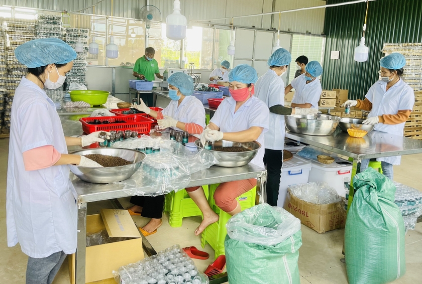 Nâng cao chất lượng nguồn nhân lực: “Đòn bẩy” thúc đẩy hợp tác xã phát triển