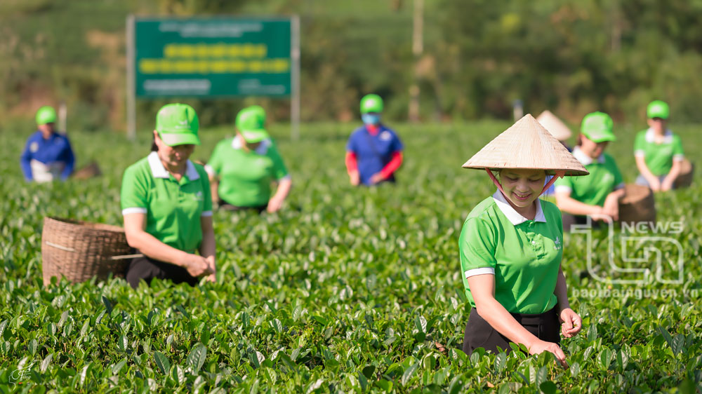 Tăng sức mạnh cho sản phẩm chủ lực