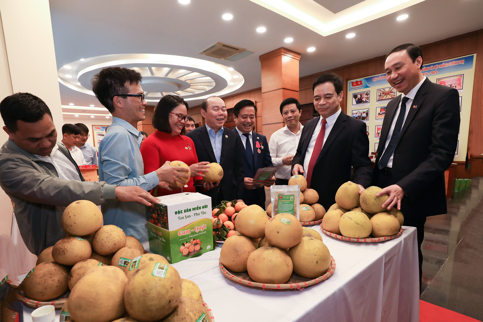 Triển khai thực hiện các hoạt động thiết thực hỗ trợ và thúc đẩy phát triển kinh tế tập thể