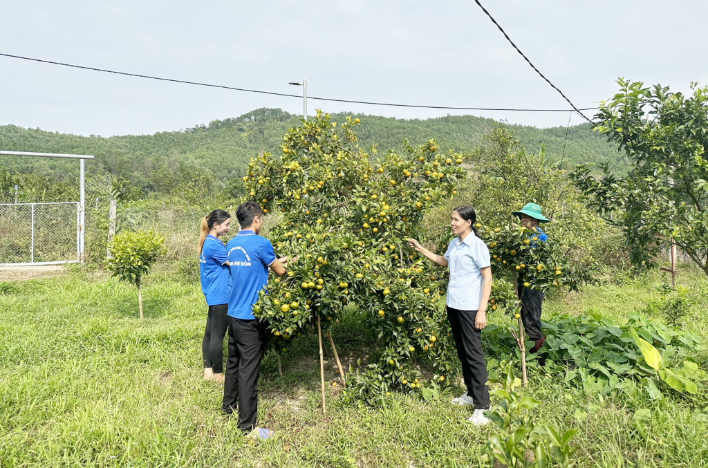 Thúc đẩy phát triển hợp tác xã