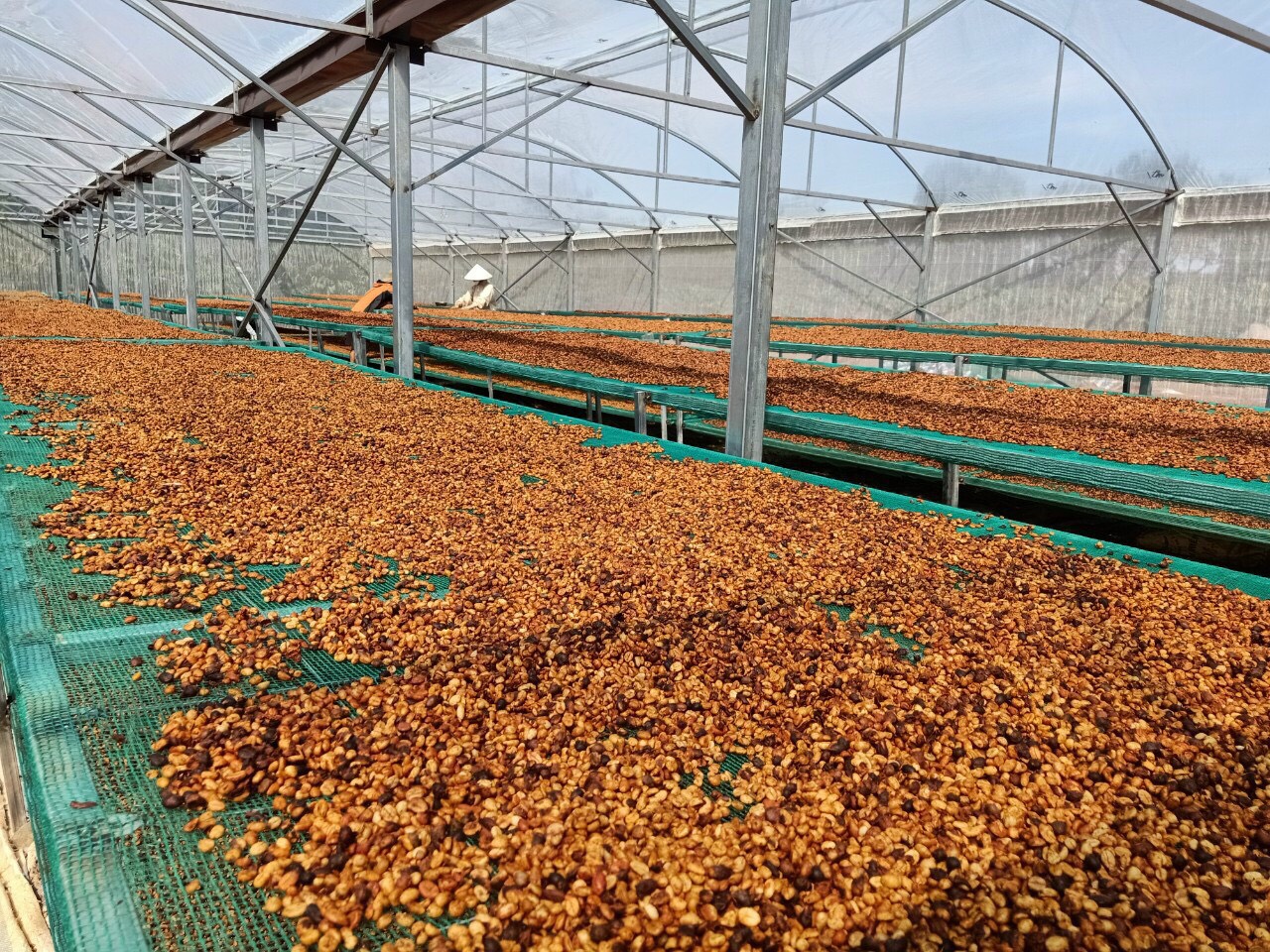 Triển khai Đề án lựa chọn, hoàn thiện, nhân rộng mô hình hợp tác xã kiểu mới 