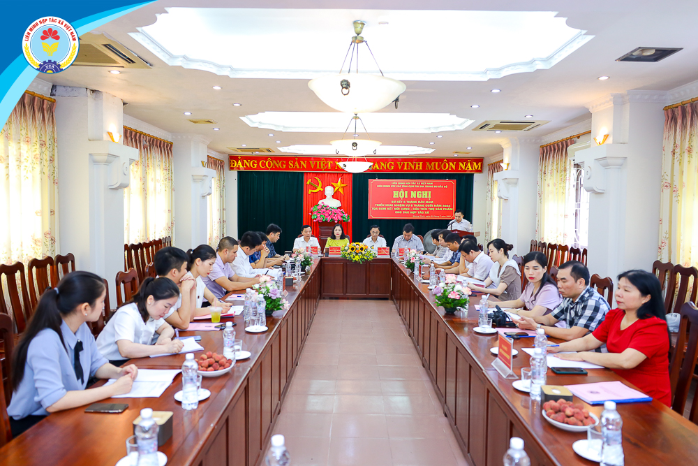 Phát triển kinh tế tập thể, HTX thích ứng với cơ chế thị trường nhanh và bền vững