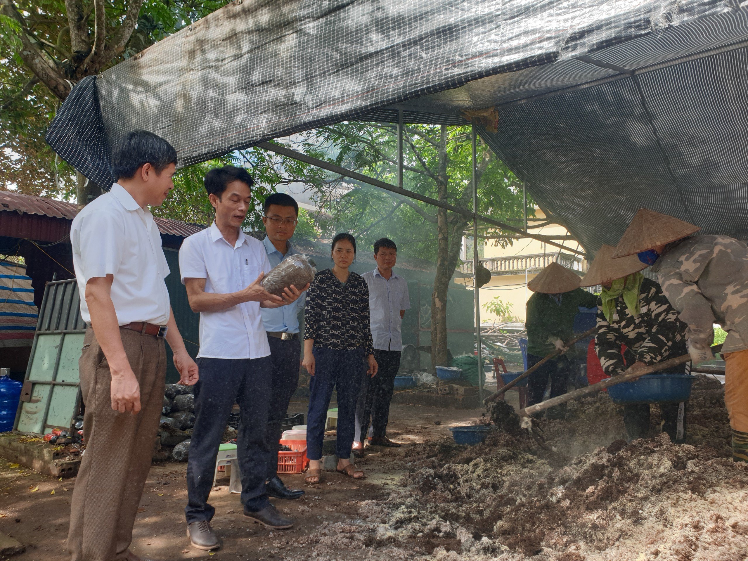 Quỹ hỗ trợ phát triển hợp tác xã – tạo động lực phát triển kinh tế tập thể
