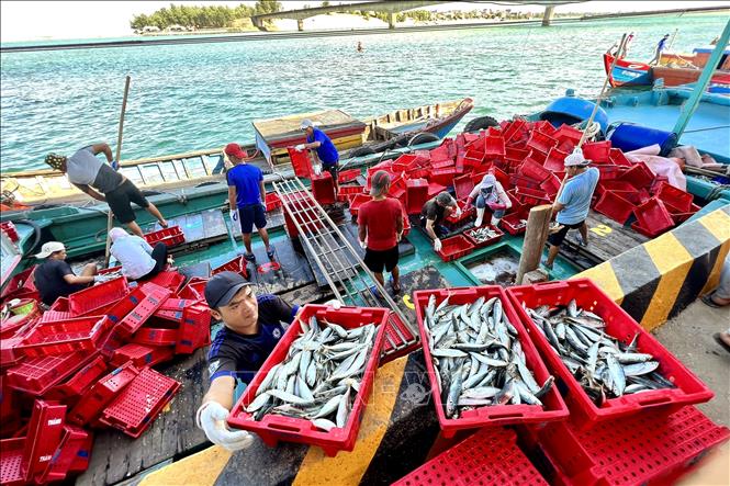Kinh nghiệm của Malaysia trong phát triển thủy sản bền vững