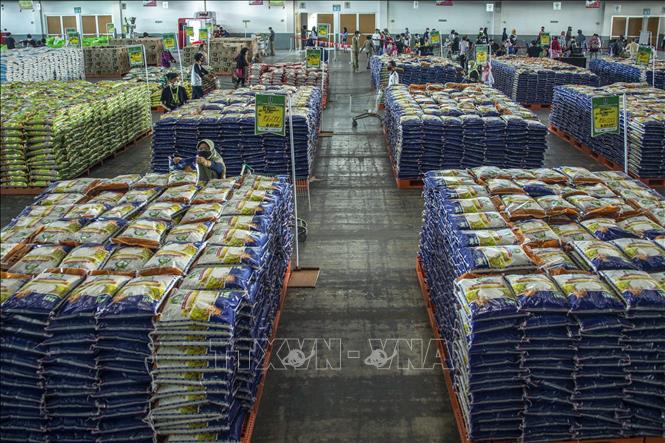 Biện pháp thích nghi với giá gạo tăng cao của người dân Indonesia