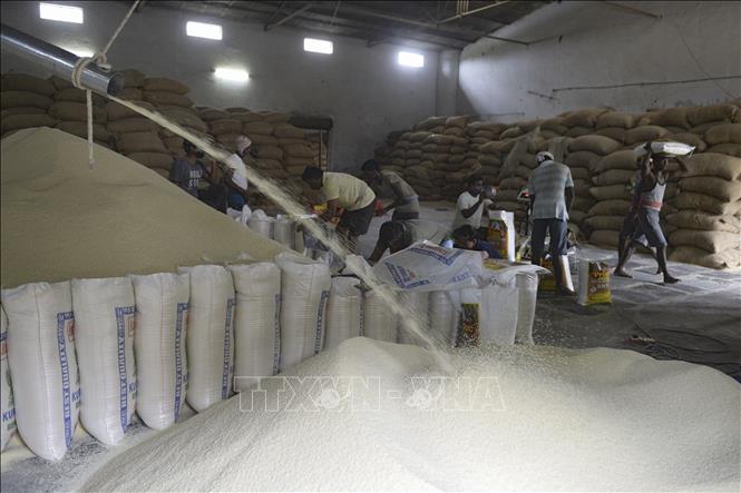 Ấn Độ cho phép xuất khẩu 1 triệu tấn gạo trắng tới 7 quốc gia