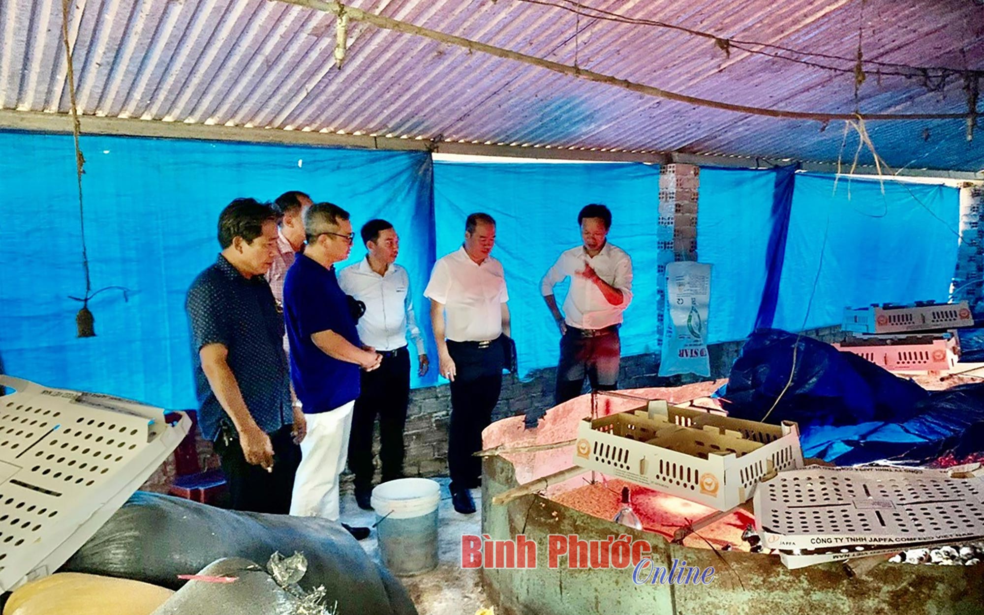 Hỗ trợ hợp tác xã chăn nuôi phát triển theo chuỗi giá trị
