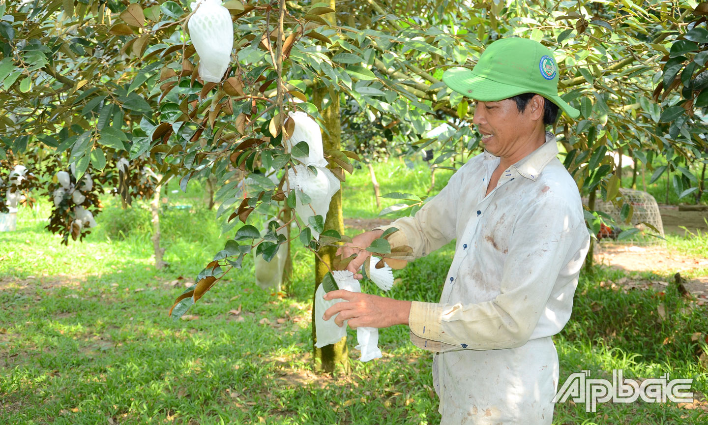Hỗ trợ nâng chất lượng hoạt động của hợp tác xã