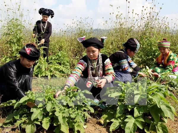 Chia sẻ cơ hội hợp tác kinh doanh, xúc tiến thương mại phát triển sản phẩm
