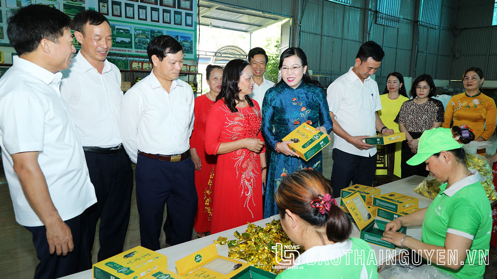 Bám sát nhiệm vụ gắn với điều kiện thực tiễn của HTX thực hiện các mục tiêu sản xuất, kinh doanh.