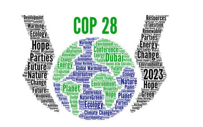 COP28 hỗ trợ chuyển đổi xanh tại các nước đang phát triển và nền kinh tế mới nổi 