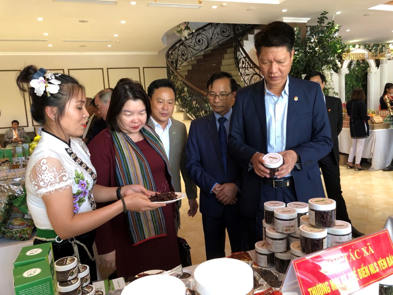 Yên Bái: Khởi sắc phong trào Kinh tế tập thể 