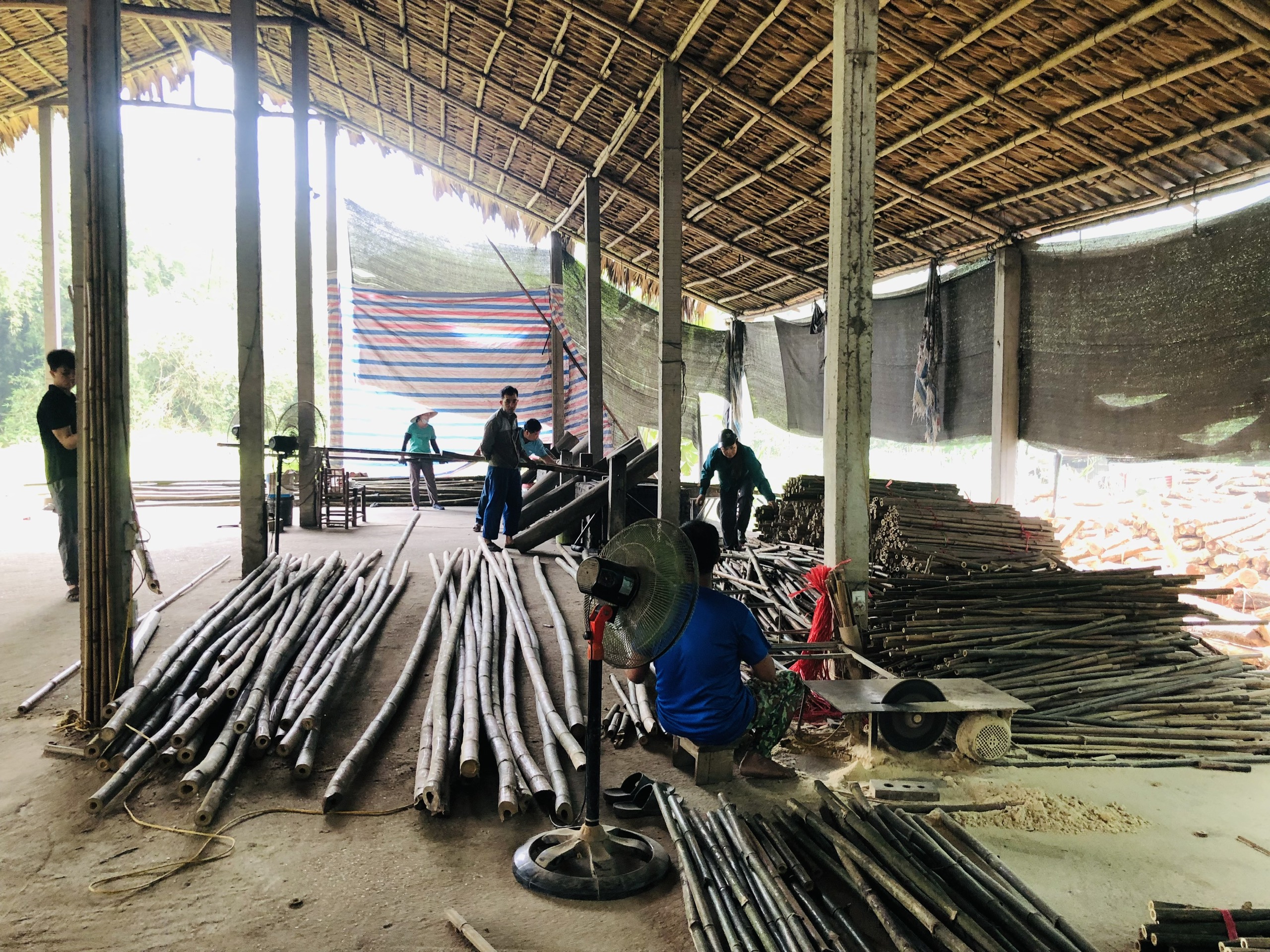 HTX mây tre Mạnh Hằng Phú Thịnh - chất lượng sản phẩm là yếu tố cốt lõi để xây dựng thương hiệu hợp tác xã