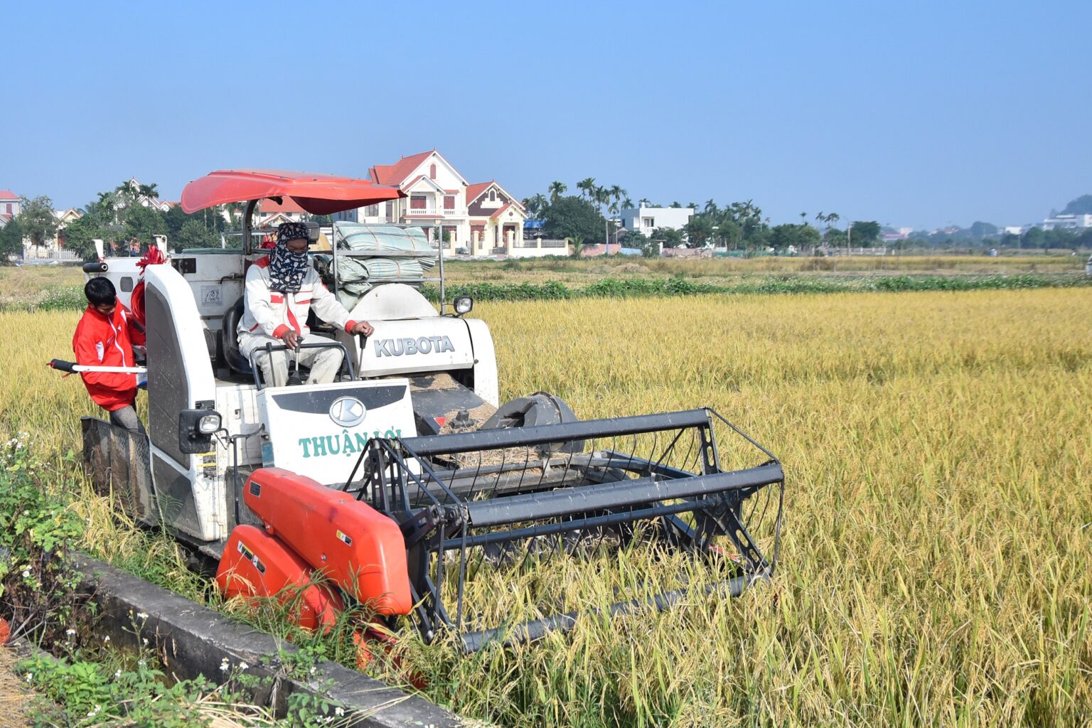 Quỹ Hỗ trợ phát triển hợp tác xã trên địa bàn thành phố giúp các đơn vị gỡ khó về vốn
